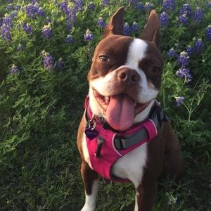 Meet your Posher, Sharla vohs